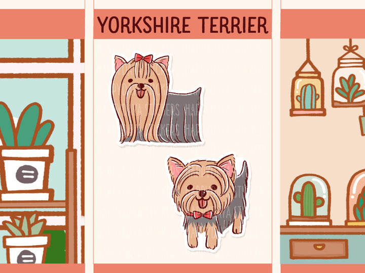 FI102 Yorkshire terrier
