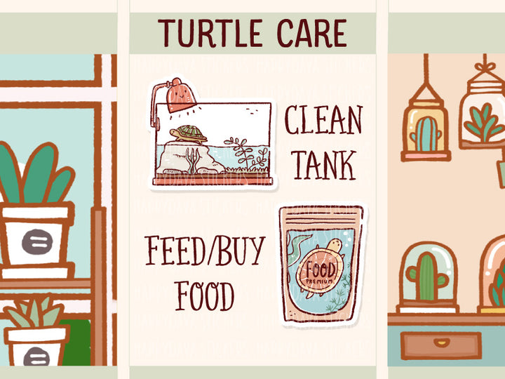 FI106 Turtle care