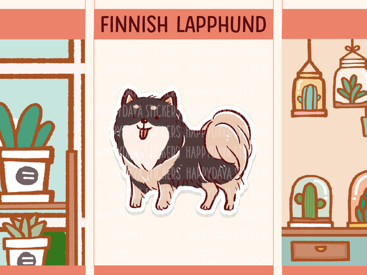 FI138 Finnish Lapphund