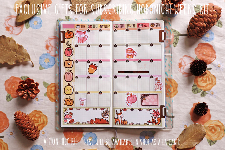 KIT25-Product photos-7 HW6 monthly real