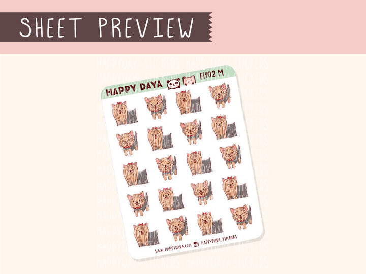 FI102 Yorkshire terrier