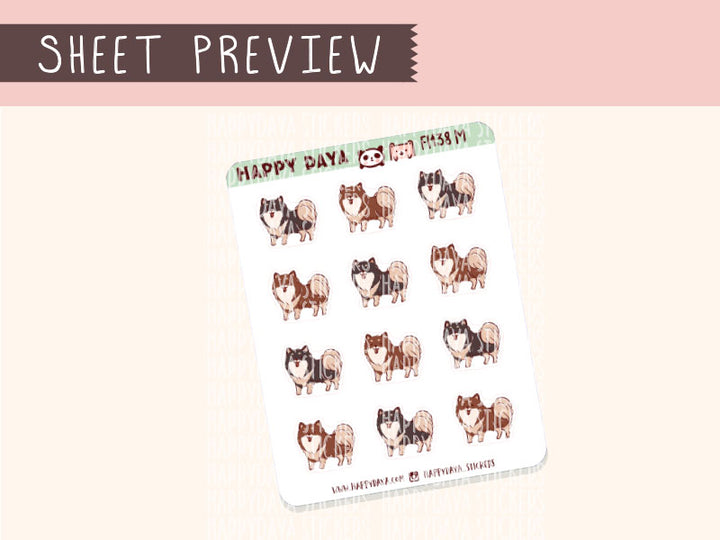 FI138 Finnish Lapphund