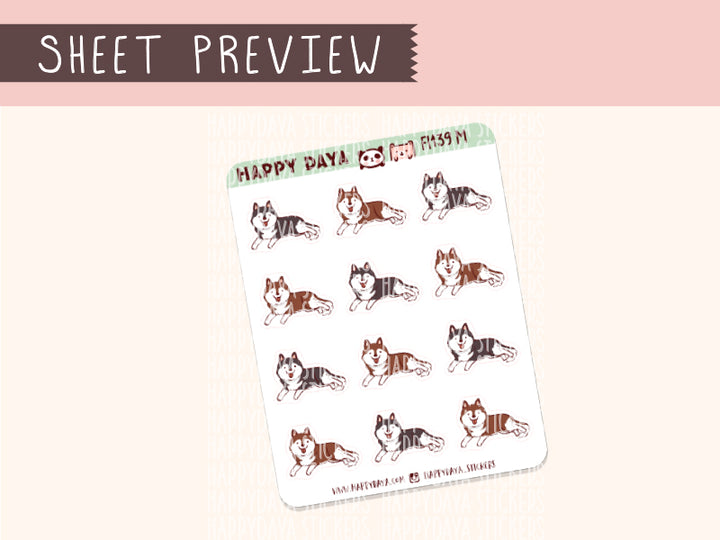 FI139 Siberian Husky