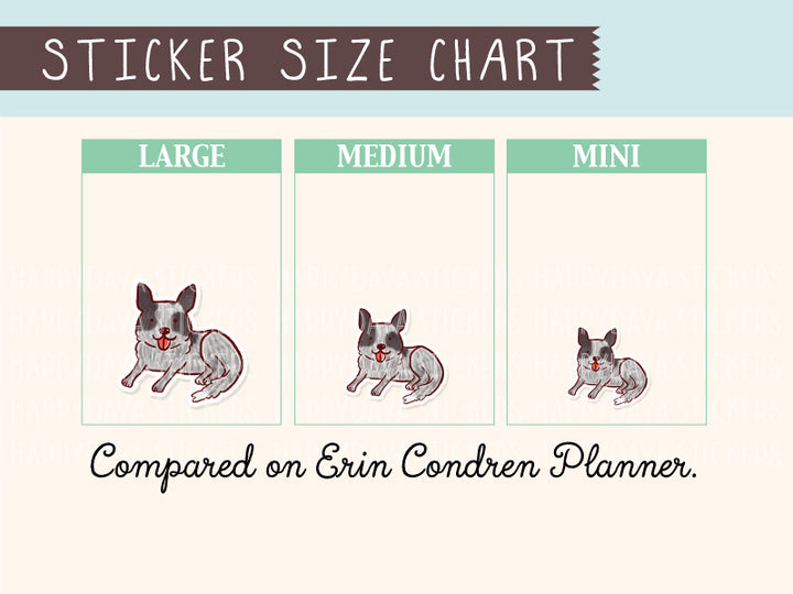 FI099 Australian Cattle Dog